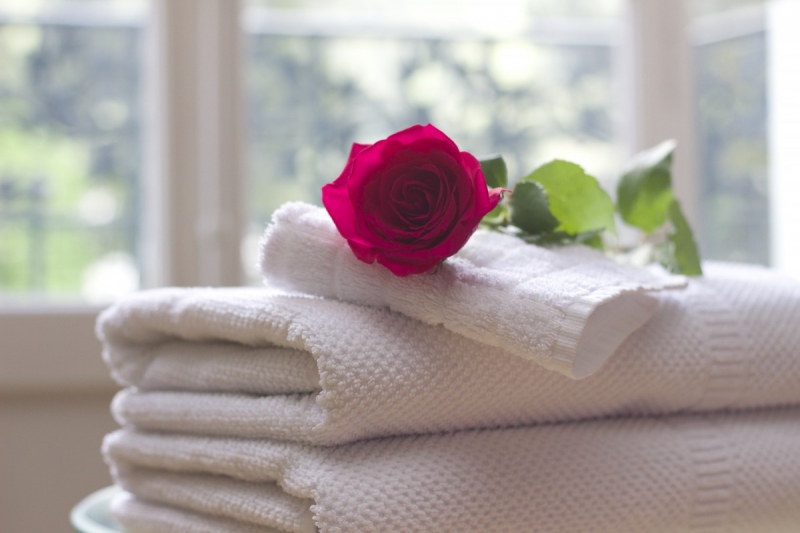 chambre-hote-ENTRAUNES-min_towel_rose_clean_care_salon_spa_white_bath-731641